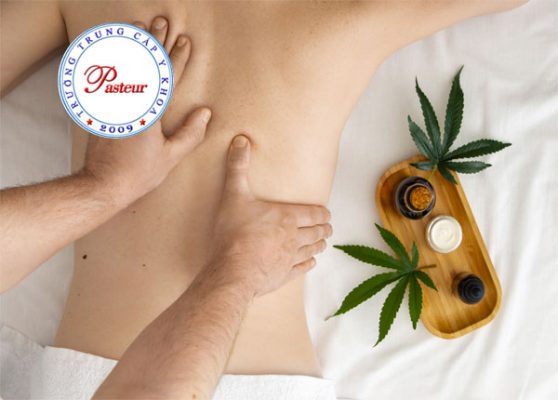 xoa bóp bấm huyệt trong y học cổ truyền