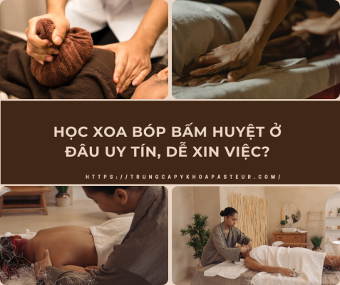 Học Xoa bóp bấm huyệt ở đâu uy tín, dễ xin việc?