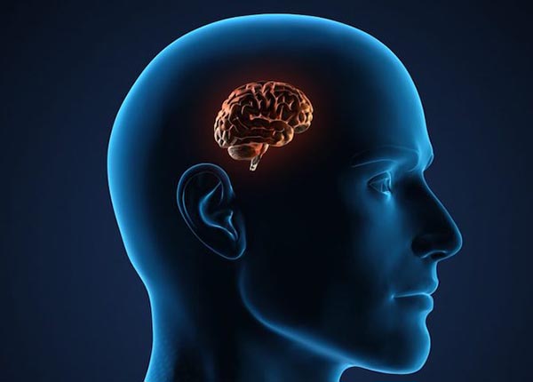 Bệnh teo não là bệnh lý gây nên bởi sự thoái hóa, chết và gián đoạn dẫn truyền giữa các tế bào thần kinh
