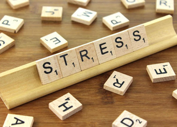 Sự căng thẳng và lo âu khiến chúng ta mệt mỏi và làm việc thiếu hiệu quả