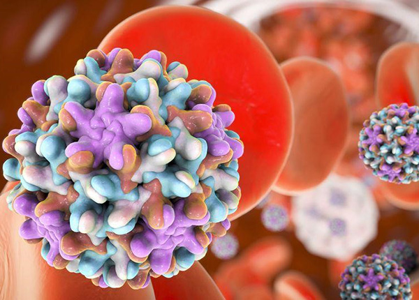 Viêm gan B được xếp vào loại bệnh truyền nhiễm