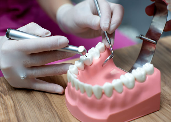 Ngành kỹ thuật phục hình răng
