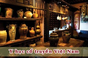 y-hoc-co-truyen-viet-nam